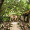 20 Wedding Scene Images - Image 20