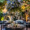20 Wedding Scene Images - Image 2